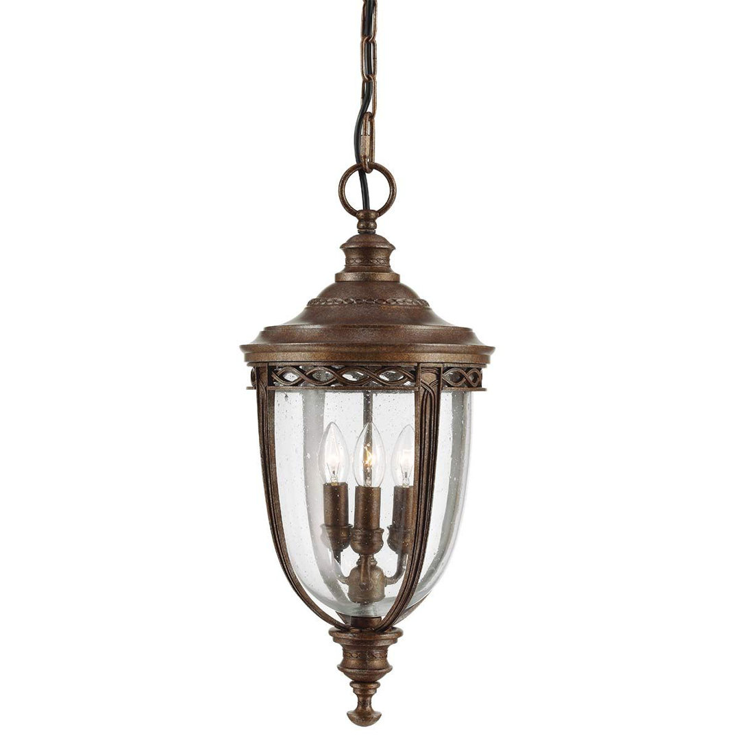 Thynes 3 - Light Outdoor Hanging Lantern