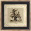 The Shelton Oak Painting