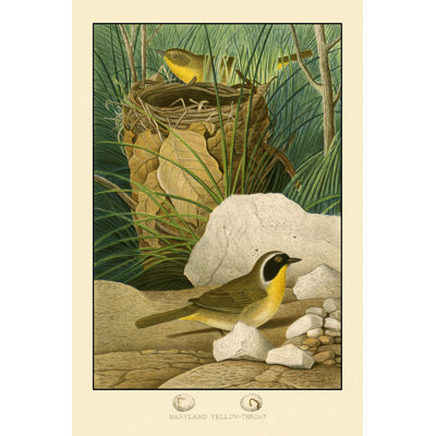 Maryland Yellow-Throat (JP) - Wrapped Canvas Print