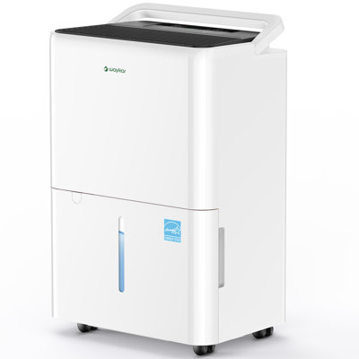 Déshumidificateur Energy Star pour sous-sol et maison - 30 pintes, 2000 pieds carrés Couverture en pi, ultra silencieux, tuyau d'évacuation inclus