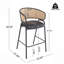 Tabouret de bar d'intérieur revêtu de métal, siège en similicuir avec dossier en rotin Wowen, ensemble de 2