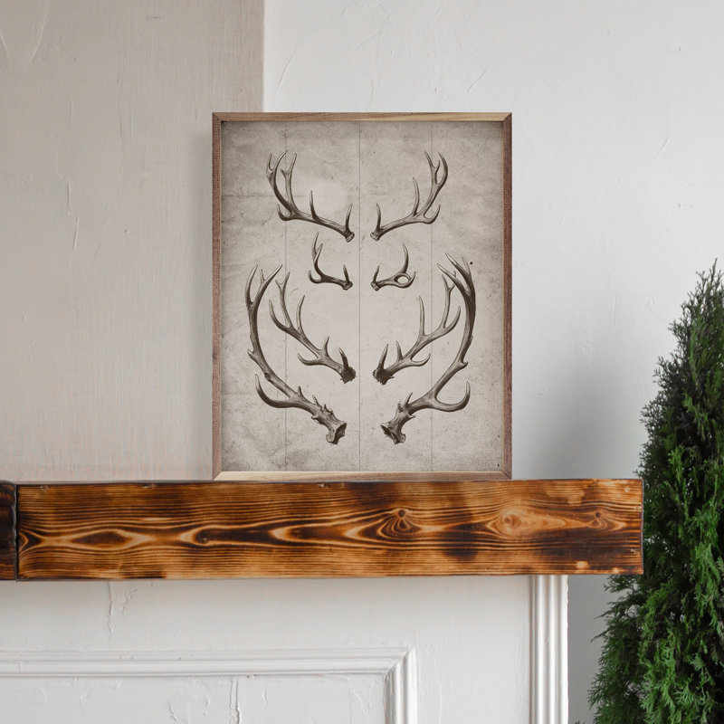 Bois de cerf blanc, H 10 po x l 8 po, Blanc