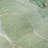 Premium Machine Washable Cerrito AMF511 Green Rug-103831280