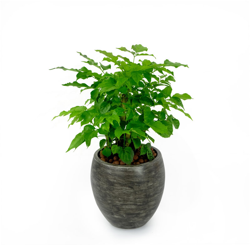 Pot à fleurs rond intelligent pour l'intérieur et l'extérieur - Gris délavé