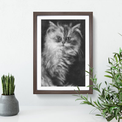 Persian Cat - Framed Print
