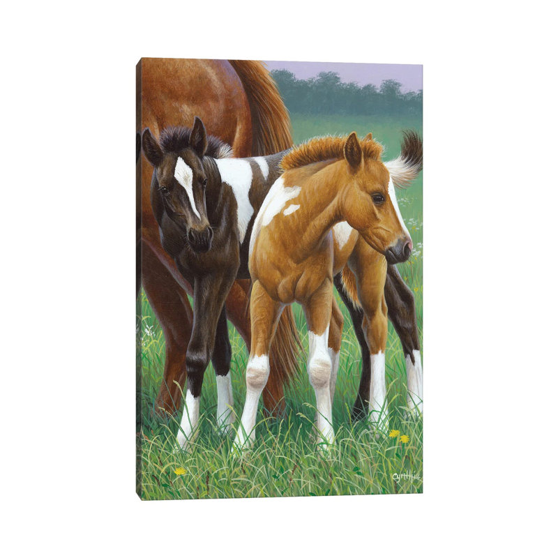 Two Foals by Cynthie Fisher - Wrapped Canvas Gallery-Wrapped Canvas Giclée, 30.48cm H x 20.32cm W