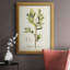 " Antique Herb Botanical IV "-2147478972