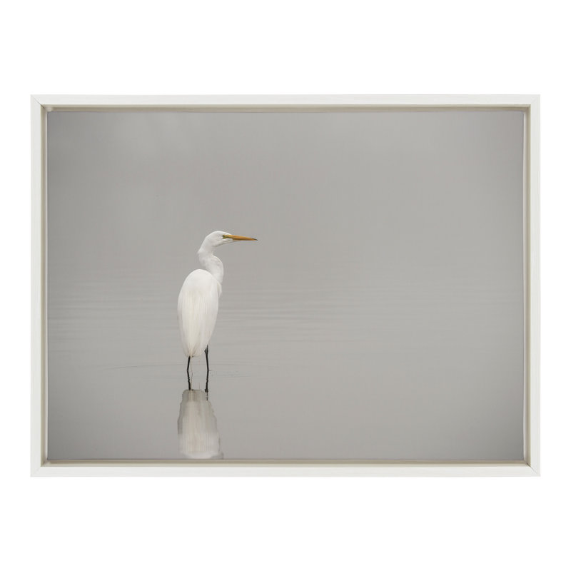 «Great White Egret» par Crystal Lynn Collins, reproduction d'art sur toile encadrée, L 24 po x H 18 po