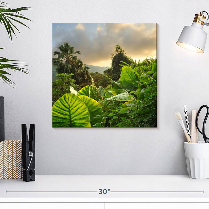 Alvord Borneo Rainforest, H 16 po x l 16 po
