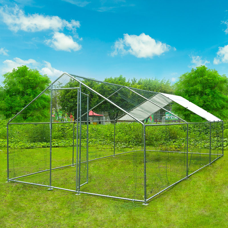 Parc à poules Dannish, H 78,74 po x l 118,11 po x P 236,22 po