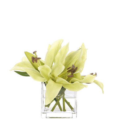 Lily Casablanca, Green, Glass Vase, 13wx13dx9h