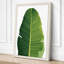 Tropical Leaf Study Botanical - Wrapped Canvas-190738145-190738151
