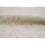 Sultanabad Wool Damask Area Rug in Coffee Cream