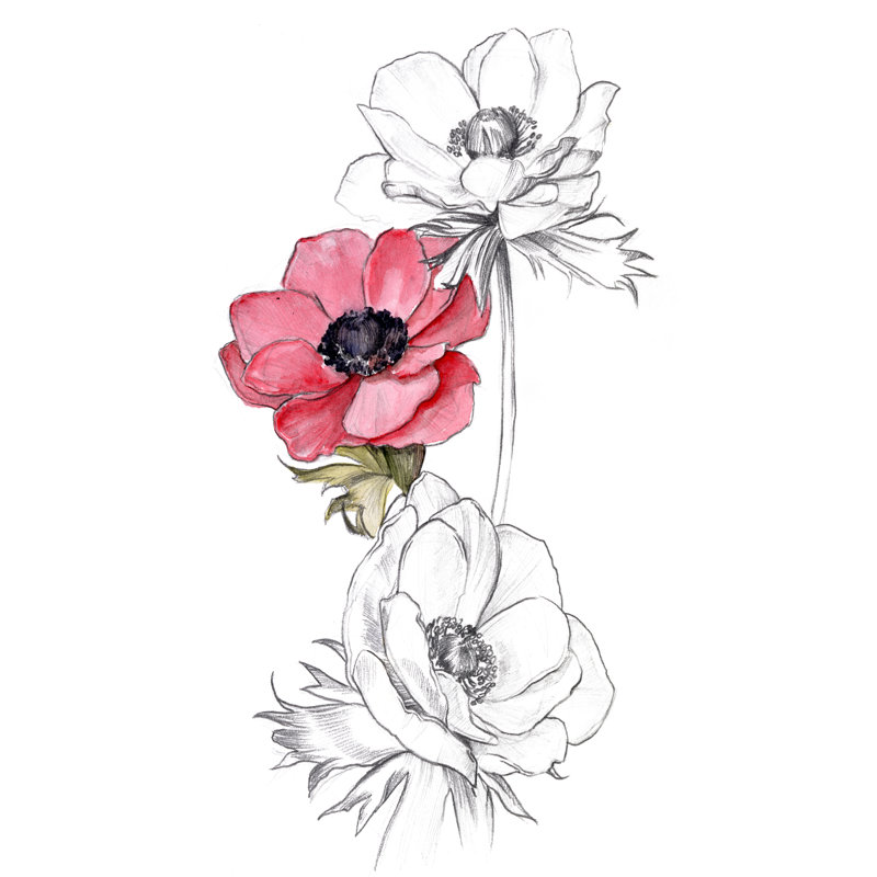 Anemone By Number II - Painting on Canvas, 46cm H x 30cm W, Wrapped Canvas