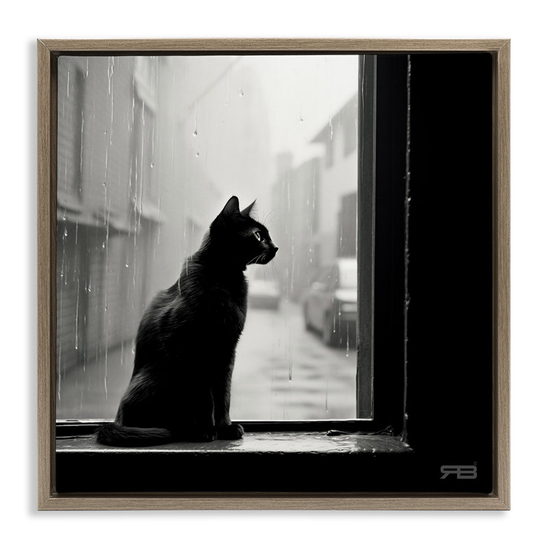 «Cat Gazing Rainy Window» par Roozbeh Bahramali, Cadre flottant orme Montalcino, H 25 po x l 25 po