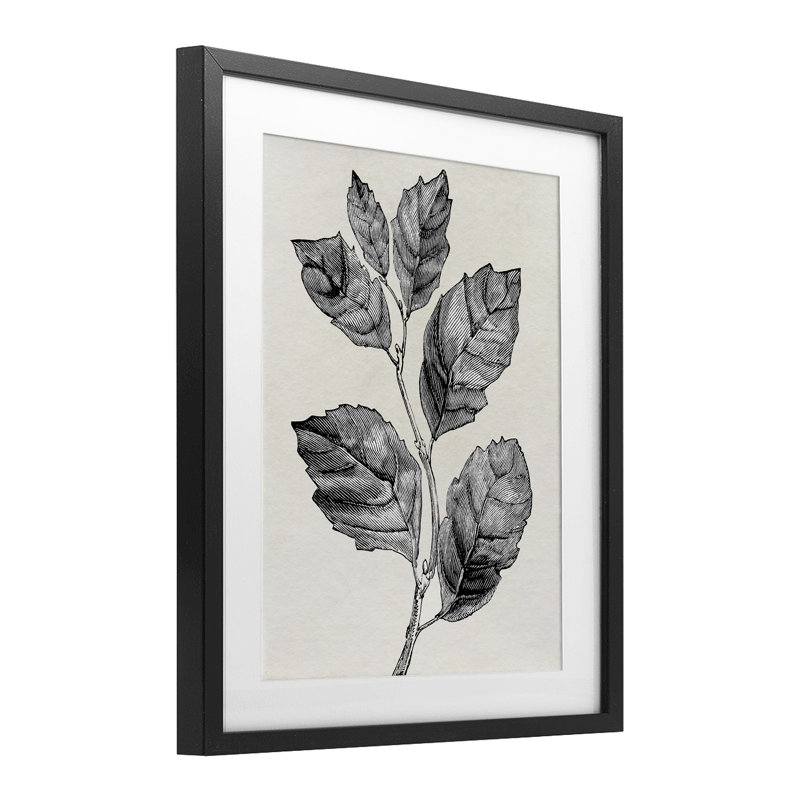«Classic Leaf Branch», reproduction encadrée sous verre, par Karen Smith, H 16 po x l 13 po, Cadre noir minuit