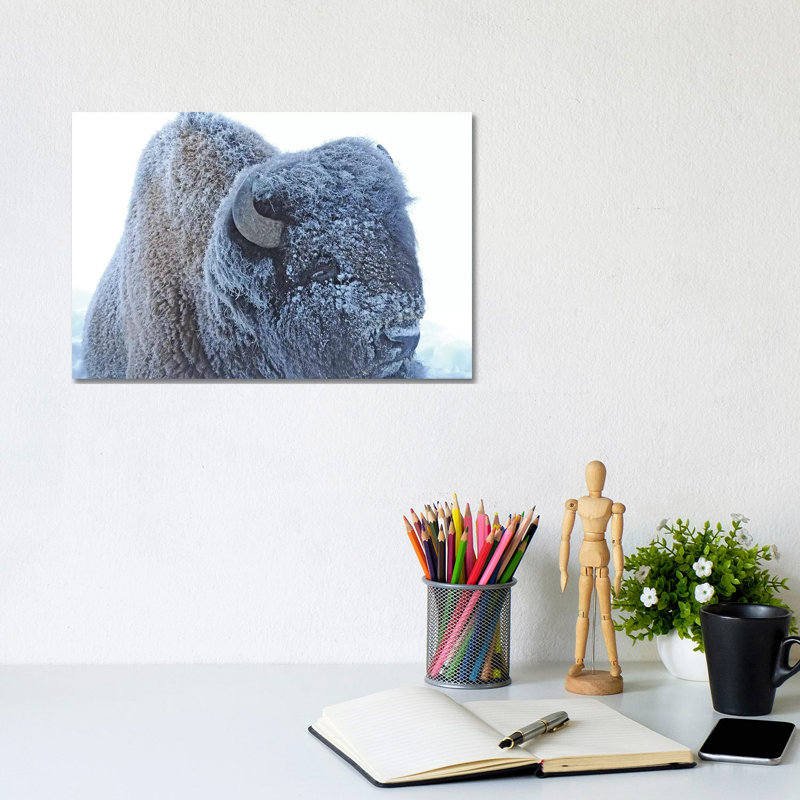 Frozen by Brian Wolf - Wrapped Canvas Print, 20.32cm H x 30.48cm W x 1.91cm D
