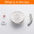 Full/Standard Fixed Shower Head 1.75 GPM-66970119
