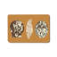 Tapis brun coquillage pour porte d'entrée Coastal Seashell Silhouette, 24 x 36 po