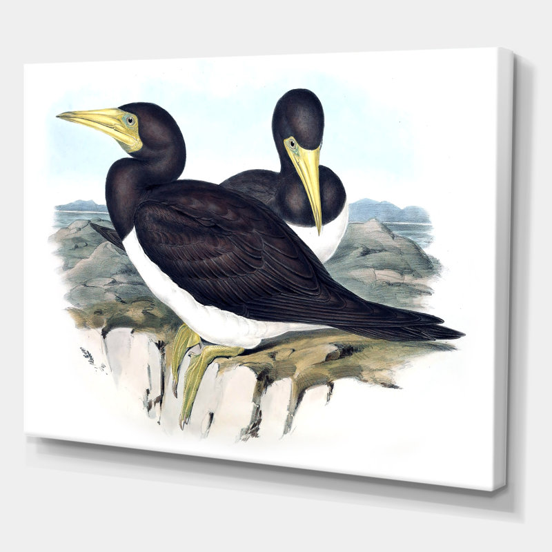 Oiseaux australiens d'époque rétro - impression sur toile, Toile tendue, H 12 po x l 20 po x p 1 po