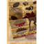 7 pi. 10 po X 10 pi 3 po Tapis Lodge-985934594