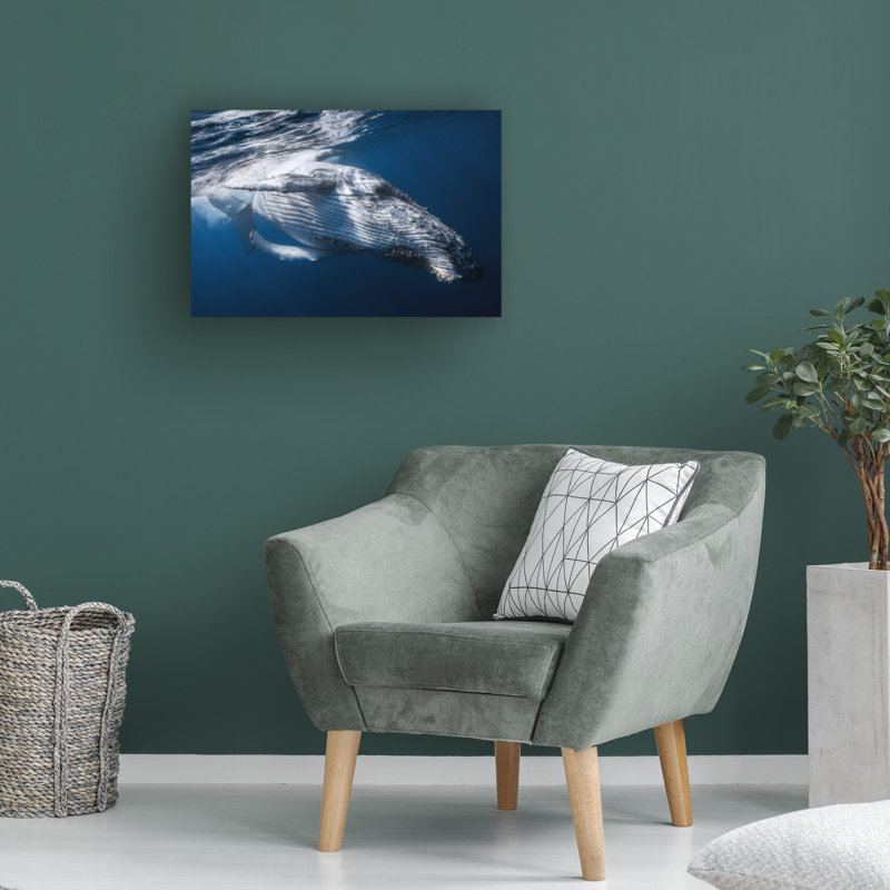 Bolog Barathieu Gabriel The Whale Canvas Art, 12" H x 19" W