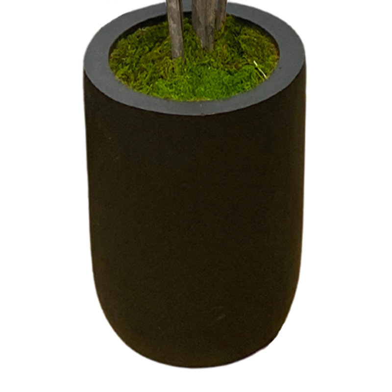 Arbre Schefflera en pot de Fiberstone
