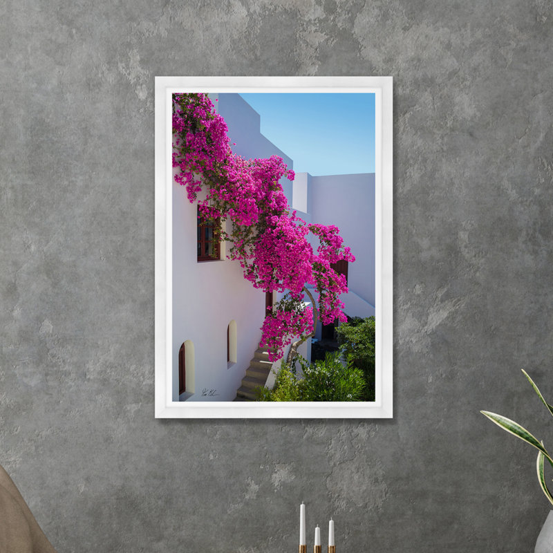 «Bougainvillea Stucco II» par Tim Klein, reproduction de photo sur papier encadrée, Noir, H 40 po x l 27 po x P 0,25 po