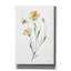 "Epic Graffiti" Wild For Honeybloom Wildflowers 3 "par Katrina Pete, art mural sur toile, 40 po x 60 po