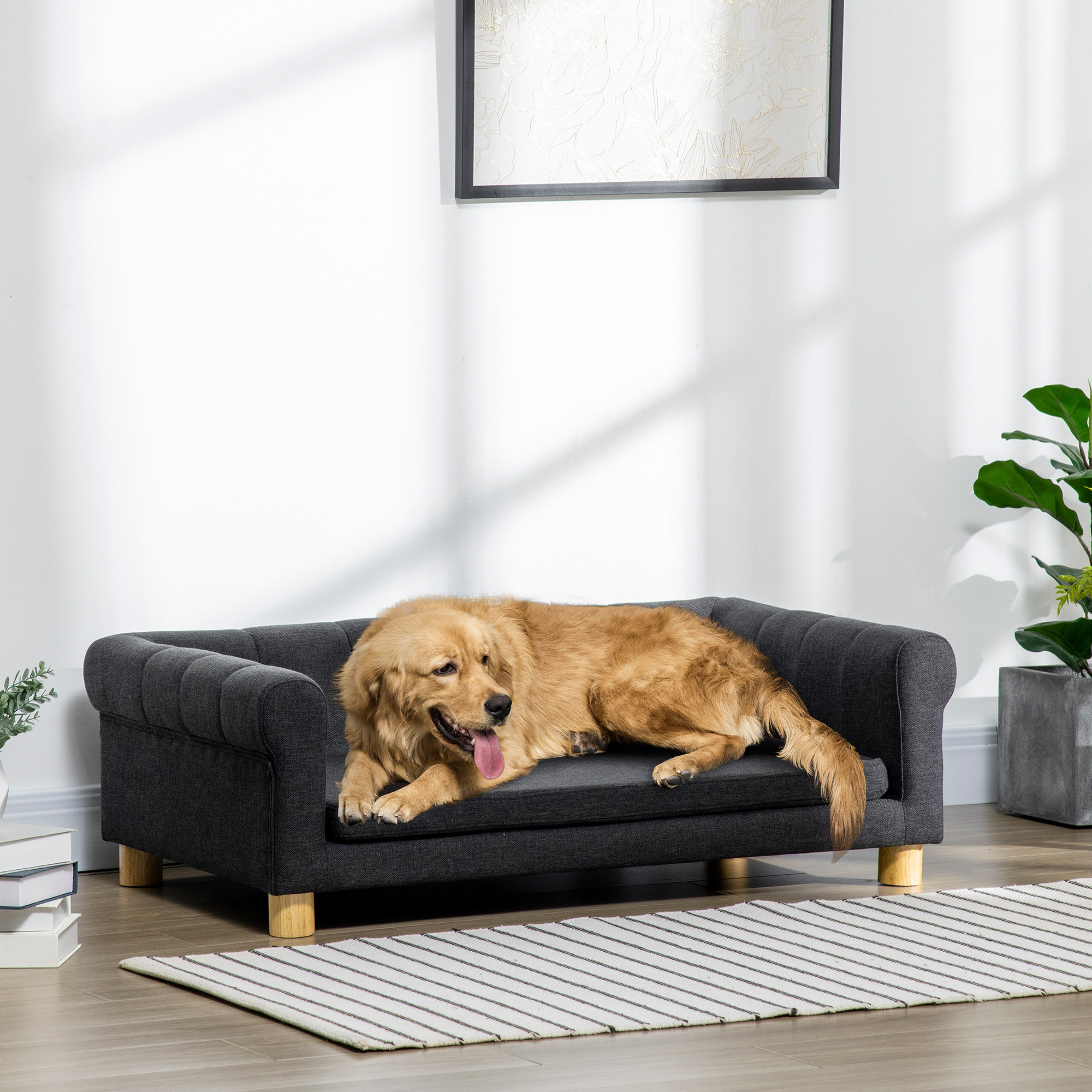 Industrial Moderno Pet Sofa Tucker Murphy Pet™ Modern Dog Sofa