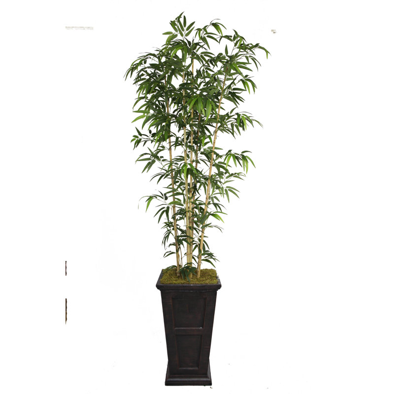 Bambou artificiel en pot 72 po Panama, Noir / bronze, Naturel