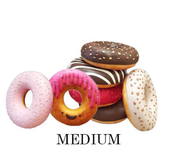 Medium Donut Set Over Sized Statue
