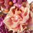 24" Autumn Peony and Hydrangea Wreath