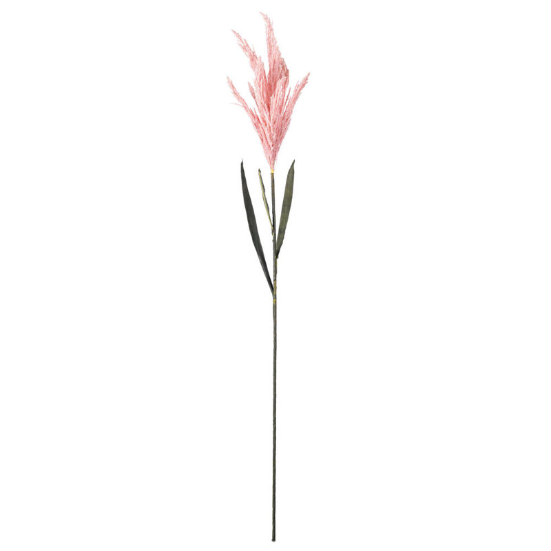Arrangement, Pink