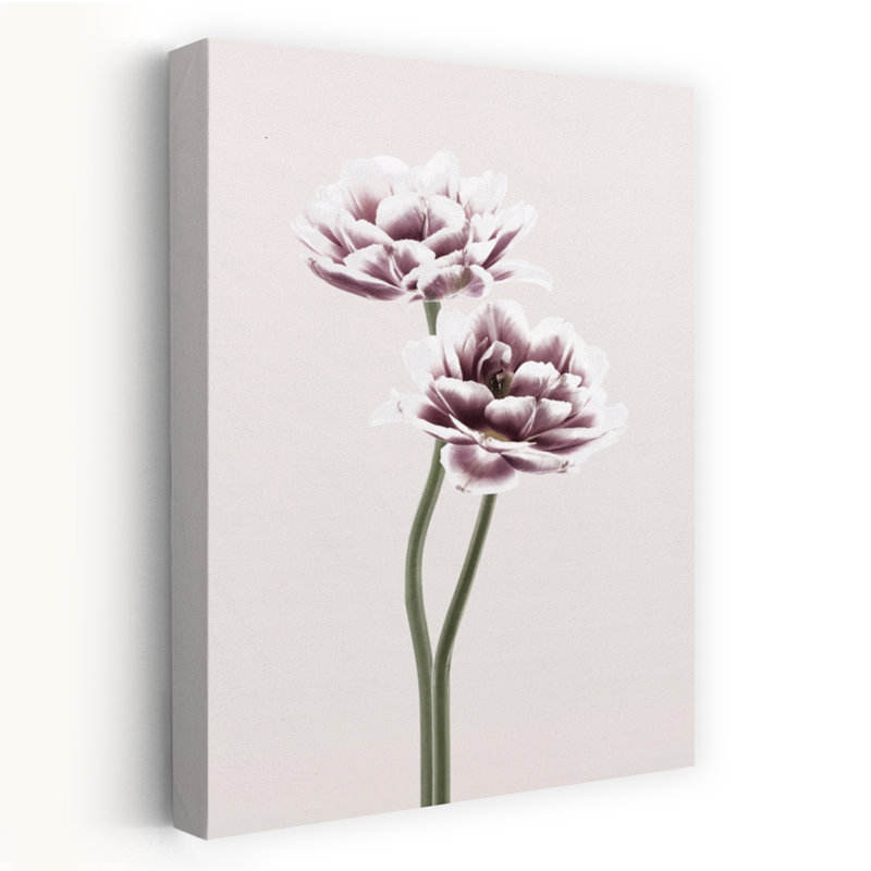 Cosmos 1, art floral contemporain, H 48 po x l 32 po