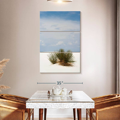 Buisson de dunes de sable Alvord