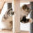 Chabeli 63.8 " H Cat Scratching Post-787977294