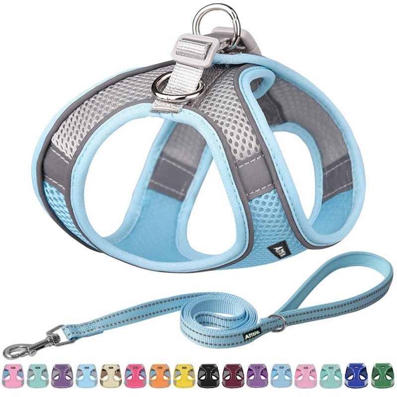 No Pull Dog Harness and Leash Set, Step in Adjustable Dog Harness with Padded Vest for All Weather, Dog Leash with Soft Padded Handle, Easy to Put on Small and Medium Dogs Pure Blue-orange M