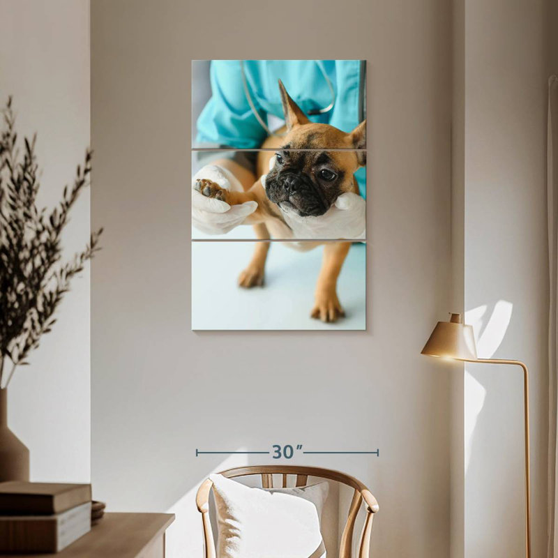 Soins pour animaux de compagnie