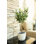 28 " H Faux Olive Tree in Stone and Earthenware Pot