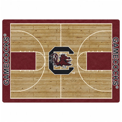 Indoor Rug