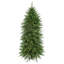Arbre Norfolk 5 '3m