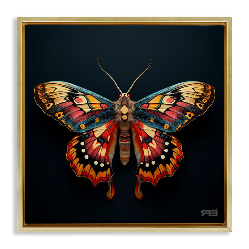 Art mural sur toile à motif de papillon de nuit Vivid par Roozbeh Bahramali, Cadre flottant métallique doré