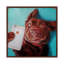 Lucia Heffernan - Print on Canvas-101342024-113648940