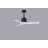 Nan 42" Ceiling Fan In Blades-12185776-61451649