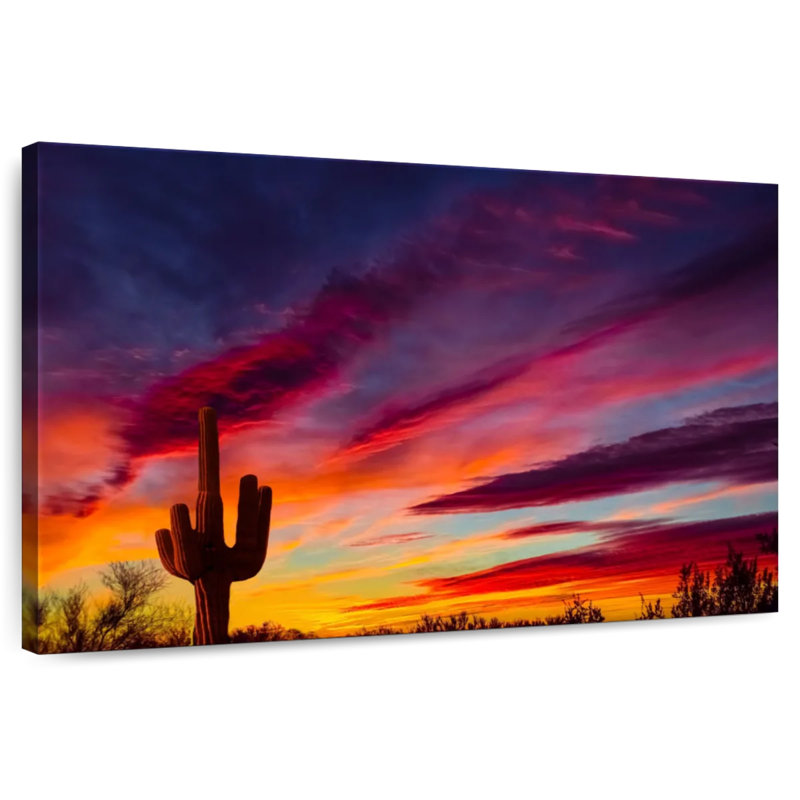 Alvord Saguaro Cactus Sunset, 20" H x 30" W