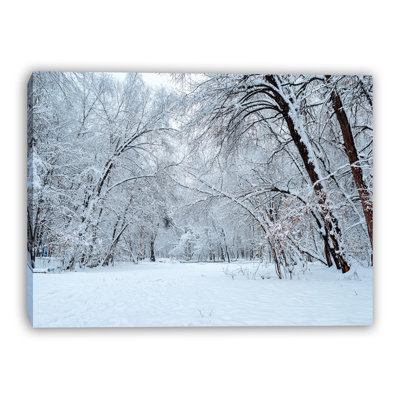 Frosted Winter Grove Wrapped Canvas Wall Art