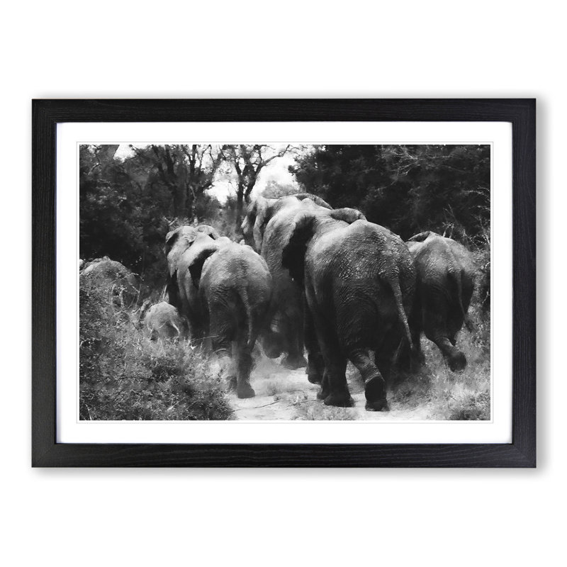 Herd of Elephants - Framed Print, Black Framed, 27cm H x 36cm W x 2cm D