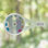 Analog Window Thermometer