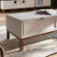 Silvino Coffee Table with Storage